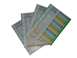 Chia File Nhựa 31 Số